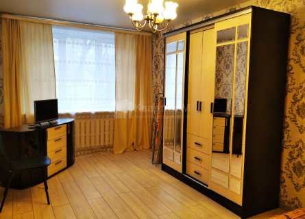 1-комн. квартира, Фрязино, Новый, 9